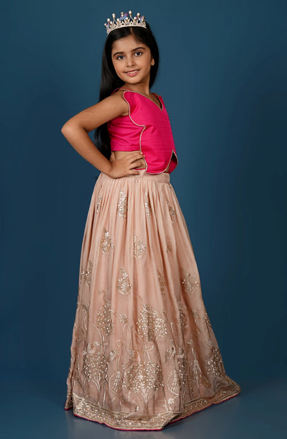 Pink Butterfly Top with Floral Embroidered Lehenga