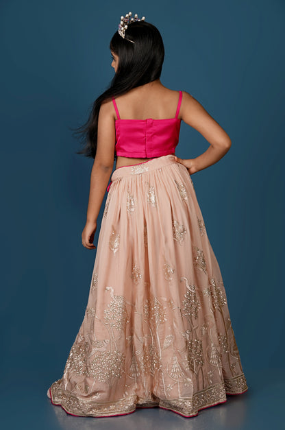 Pink Butterfly Top with Floral Embroidered Lehenga